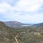 Falaguera 2 * Bárig