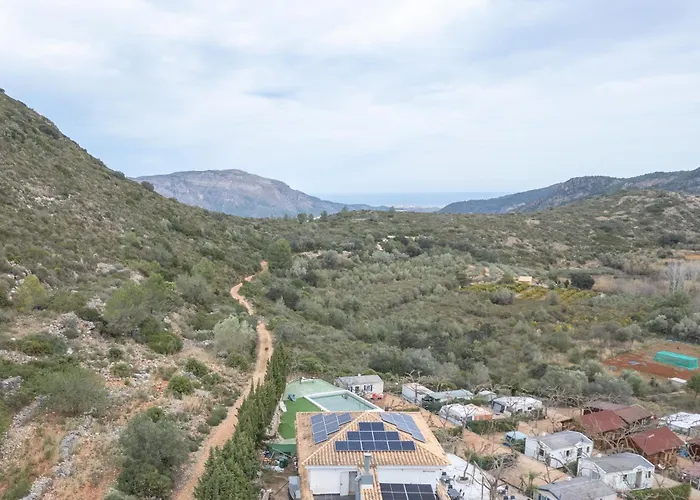 Falaguera 2 * Bárig